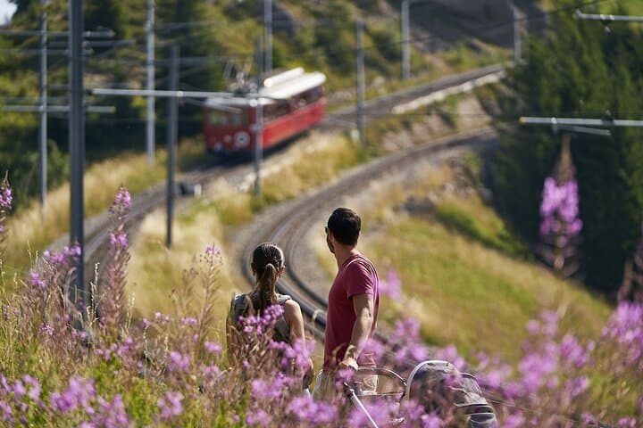 Self-Guided Rigi Day Trip from Lucerne: Cable Car, Cogwheel Train & Lake Cruise photo 6