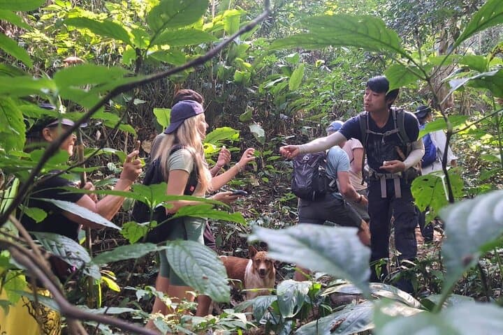 Chiang Rai Jungle Trek and Bamboo Cooking: Day Trek with Hill-Tribe Village Visits photo 2