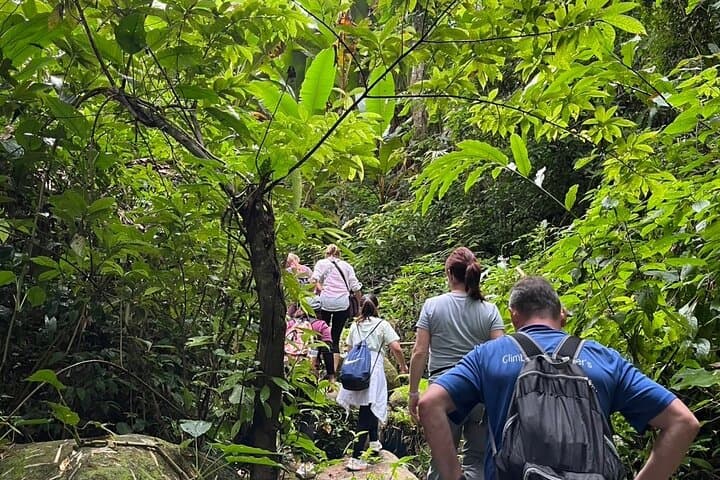 Chiang Rai Jungle Trek and Bamboo Cooking: Day Trek with Hill-Tribe Village Visits photo 3
