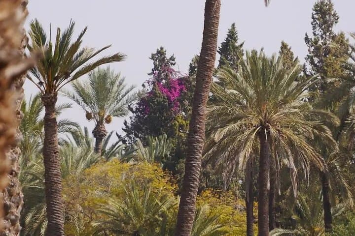 Luxury Zagora Desert Escape: 2-Day Sahara Camp & Camel Ride from Marrakech photo 2