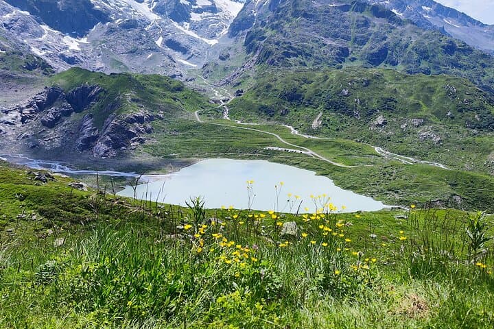 Private Van Day Trip from Lucerne: Customize Your Swiss Alps Route photo 5