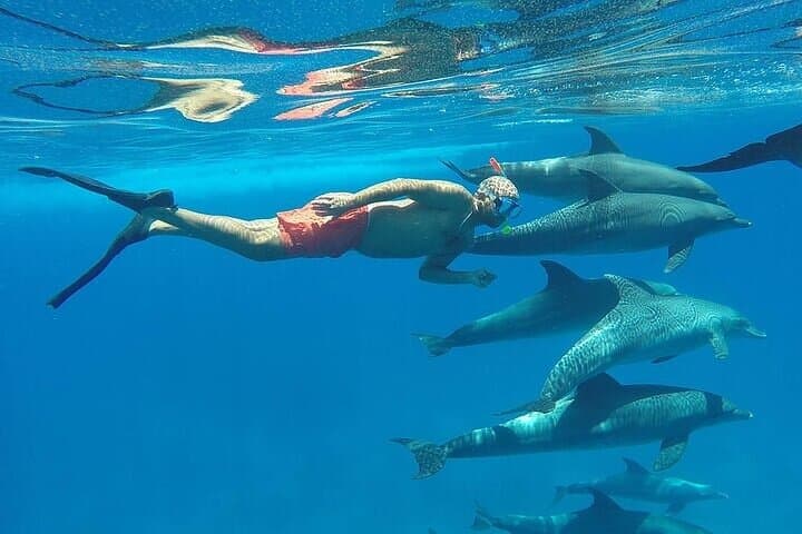 Private Full-Day Hurghada Boat Trip: Snorkel Reefs & Swim With Dolphins