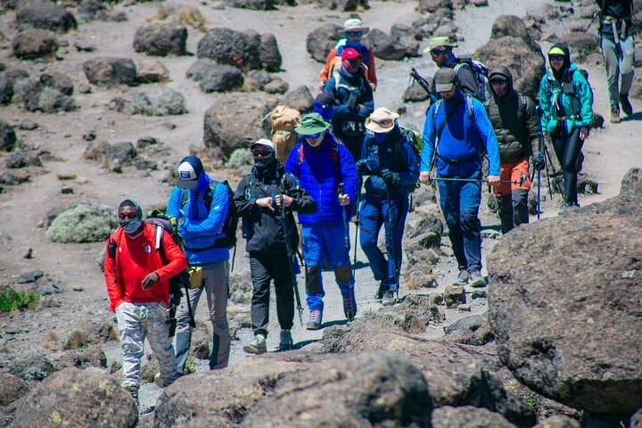 8-Day Lemosho Route Kilimanjaro Climb — Group Joining Summit Trek photo 2