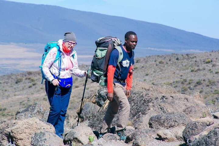 7-Day Lemosho Route Kilimanjaro Climb: Summit Uhuru Peak in One Week photo 3