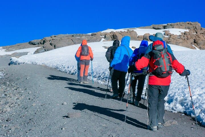 7-Day Lemosho Route Kilimanjaro Climb: Summit Uhuru Peak in One Week photo 5
