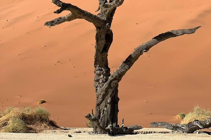 3-Day Guided Sossusvlei Tour from Windhoek — Sossusvlei, Deadvlei & Sesriem Canyon photo 4