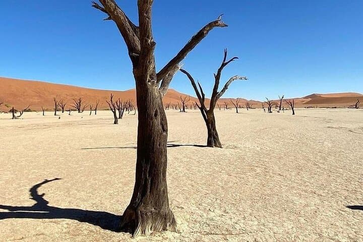 3-Day Guided Sossusvlei Tour from Windhoek — Sossusvlei, Deadvlei & Sesriem Canyon photo 2
