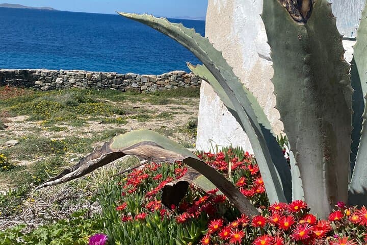 Private Mykonos Driving Tour: 60-Minute Lighthouse, Beaches & Panoramas photo 5
