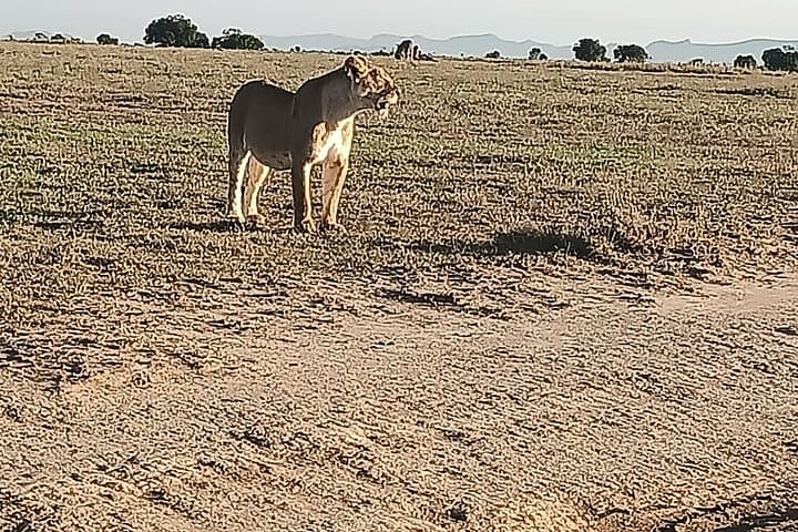 Budget 5-Day Kenya Safari: Naivasha, Nakuru & Masai Mara photo 4
