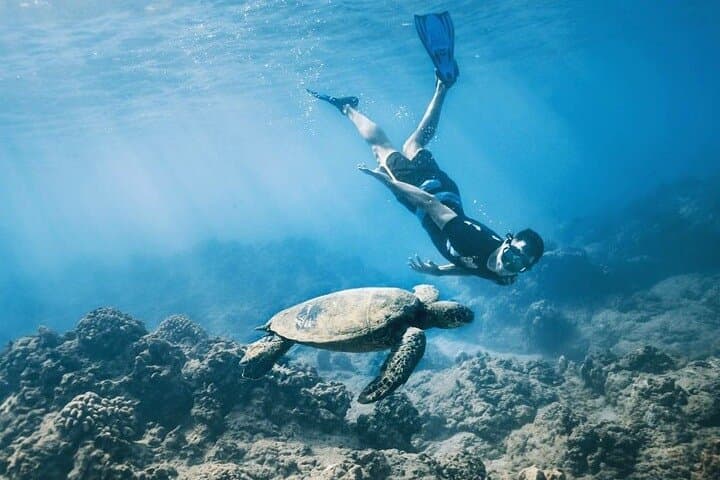 Intro Scuba Diving in Hurghada: 2 Short Dives with Lunch on the Red Sea photo 3