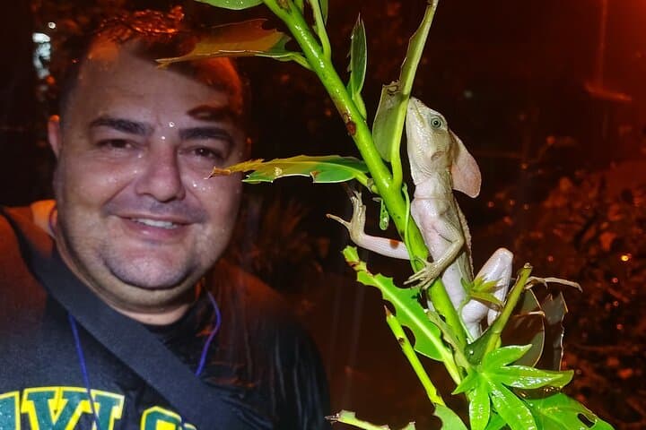 night-walk-tortuguero-glowing-fungi-and-nocturnal-wildlife