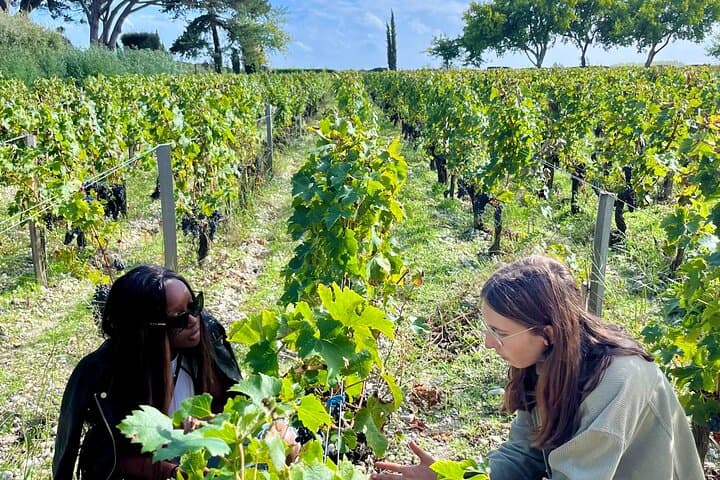 Cruise the Médoc in a Classic Citroën: Private Margaux Wine Tour photo 4