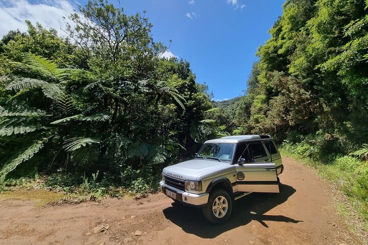 Half-Day 4x4 'Jurassic Park' Off-Road Tour from Funchal photo 4