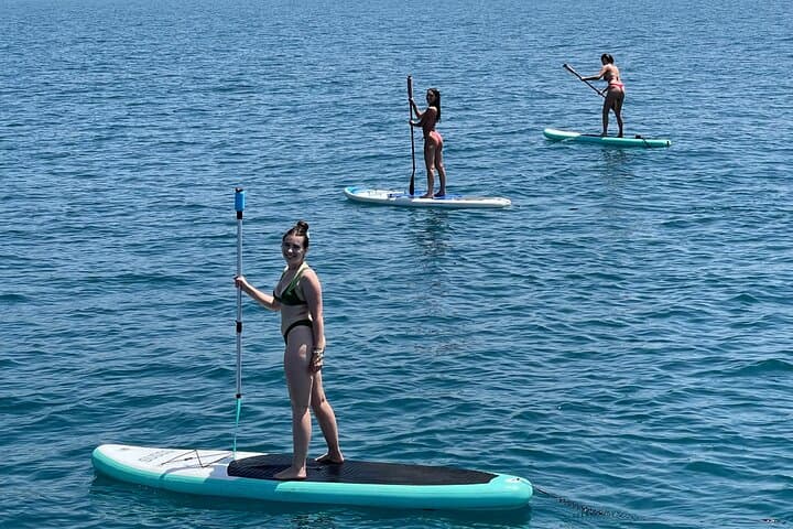 Benalmádena Catamaran Cruise: Dolphin Watching, Snorkel & Sunset Trips photo 6
