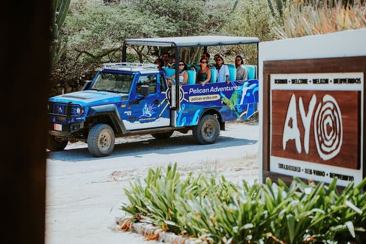 Aruba Natural Wonders: Jeep Tour to Ayo Rocks, Caves & the Natural Pool photo 4