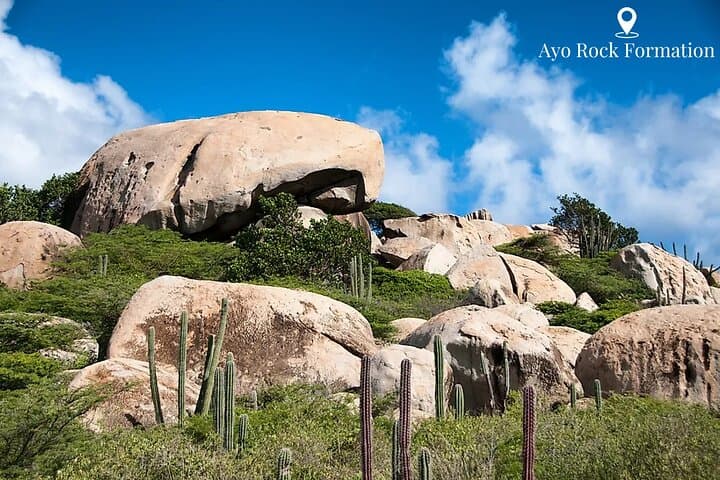 Aruba Natural Wonders: Jeep Tour to Ayo Rocks, Caves & the Natural Pool photo 5