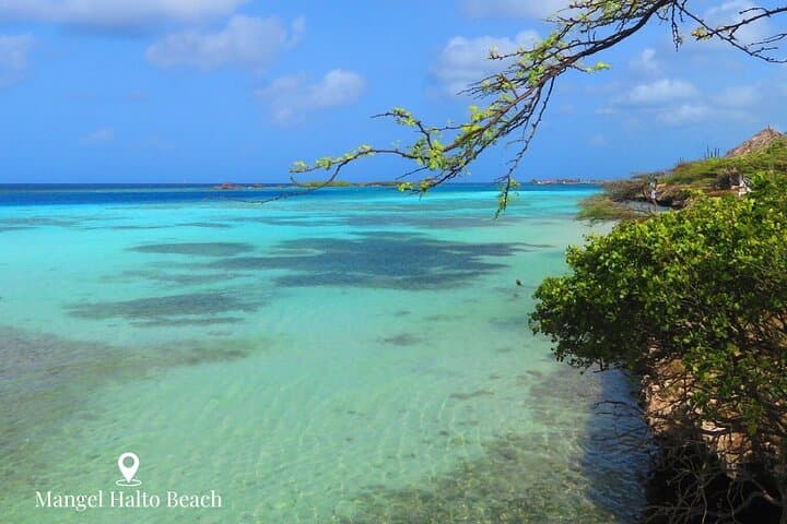 Aruba Off-Road Safari: Baby Beach & Mangel Halto by 4x4 photo 5