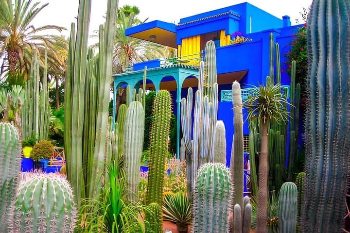 Majorelle to Anima: Marrakech Garden Escape with Round-Trip Transfer photo 2
