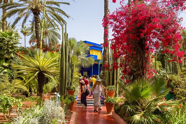 Majorelle to Anima: Marrakech Garden Escape with Round-Trip Transfer