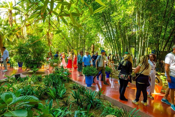 Majorelle to Anima: Marrakech Garden Escape with Round-Trip Transfer photo 4
