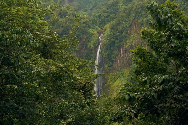 Materuni Waterfall & Chagga Coffee Experience — Day Trip from Moshi