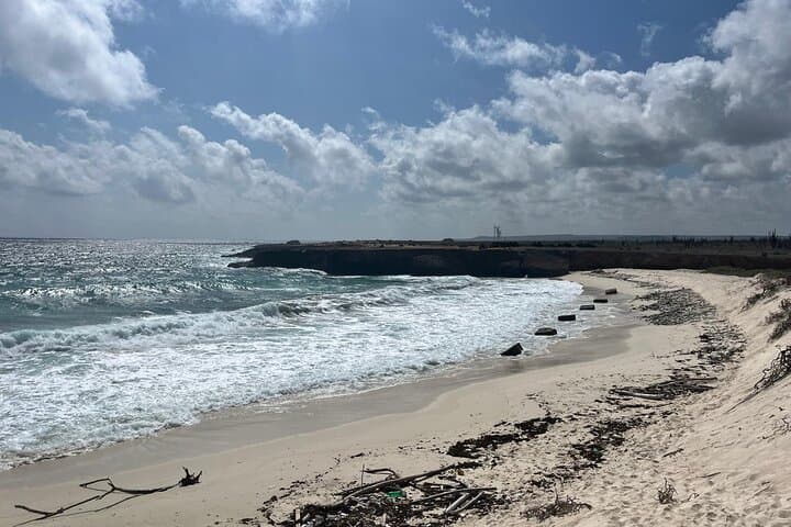 Unlimited Diving in Bonaire — 6-Day Air & Nitrox Package photo 6