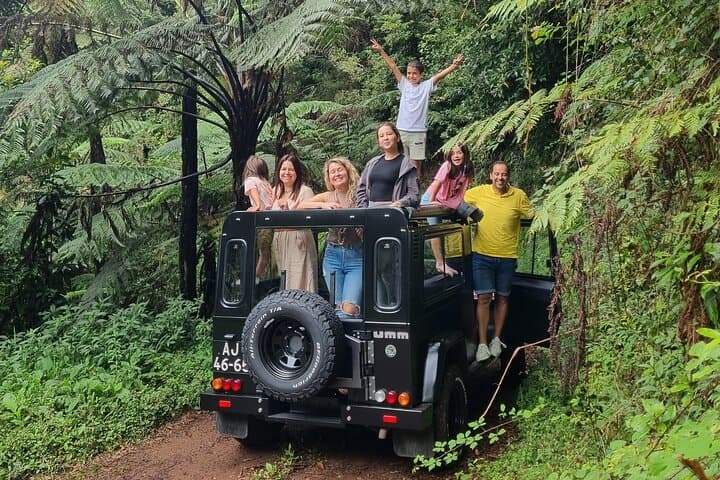 Half-Day 4x4 'Jurassic Park' Off-Road Tour from Funchal photo 3