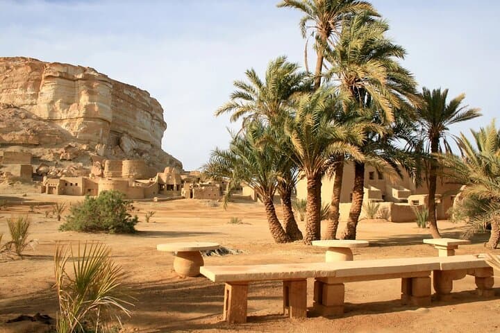 3-Day Wadi El Hitan & Fayoum Oasis Private Tour from Cairo photo 4