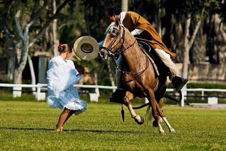 Lima Buffet Lunch, Dance Show & Peruvian Paso Horse Spectacle photo 2