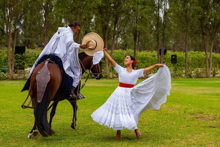 Lima Buffet Lunch, Dance Show & Peruvian Paso Horse Spectacle