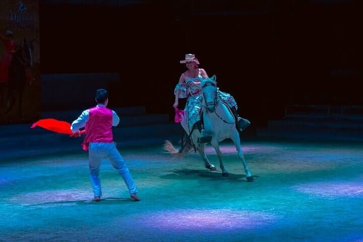 Lima Buffet Lunch, Dance Show & Peruvian Paso Horse Spectacle photo 4