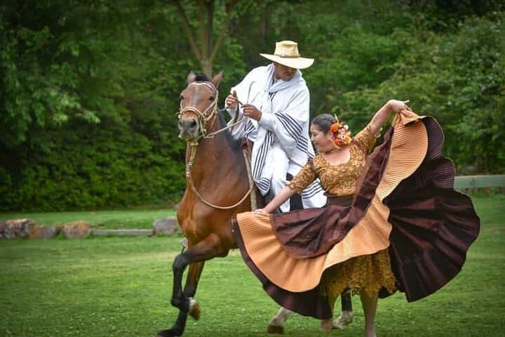 Lima Buffet Lunch, Dance Show & Peruvian Paso Horse Spectacle photo 6