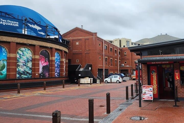 Cape Town Two Oceans Aquarium, Canal Cruise & Cape Wheel Experience photo 4