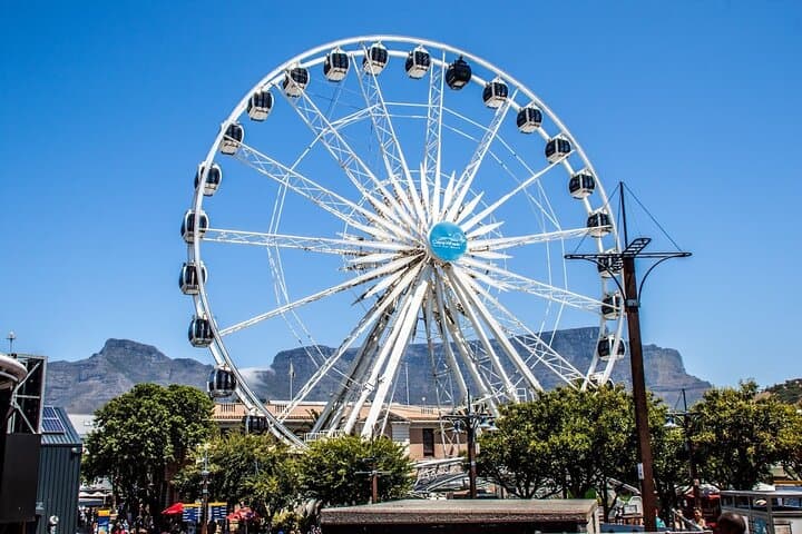 Cape Town Two Oceans Aquarium, Canal Cruise & Cape Wheel Experience photo 5
