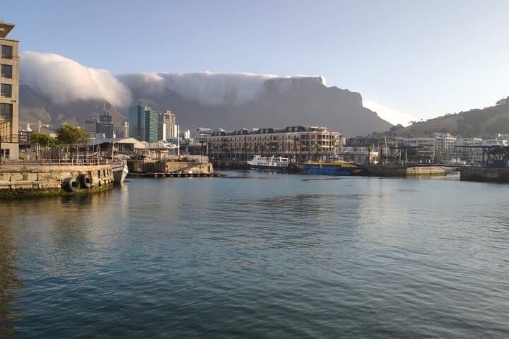 Cape Town Two Oceans Aquarium, Canal Cruise & Cape Wheel Experience photo 6