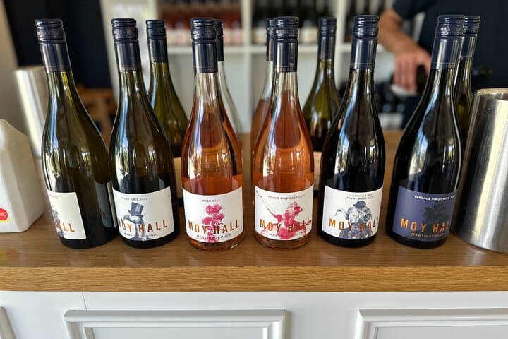 Martinborough Wine Tour from Wellington — Luxury Transfers & Cellar-Door Tastings photo 3