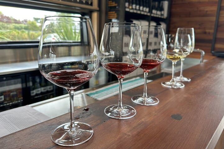 Martinborough Wine Tour from Wellington — Luxury Transfers & Cellar-Door Tastings