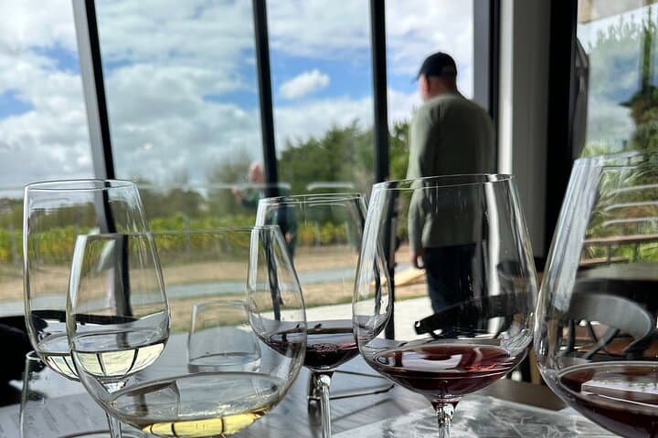 Martinborough Wine Tour from Wellington — Luxury Transfers & Cellar-Door Tastings photo 4