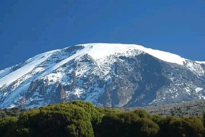 Kilimanjaro Day Hike to Mandara Hut — Marangu Route Rainforest Trek photo 1