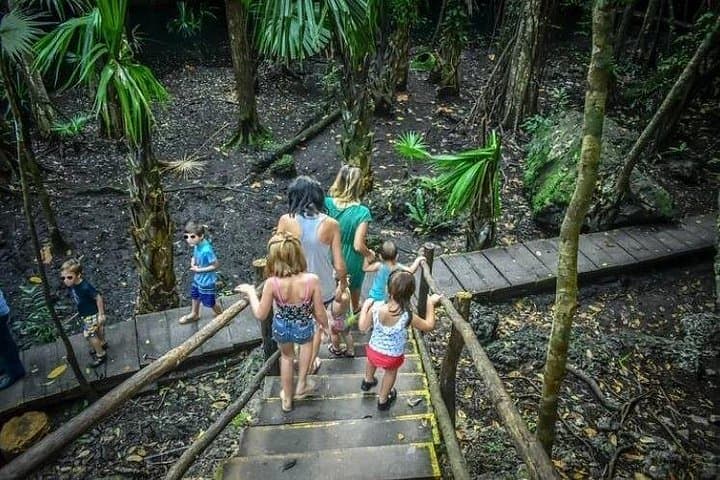 Customize Your Own Jeep Tour — Private 4x4 Cozumel (Up to 4 People) photo 4