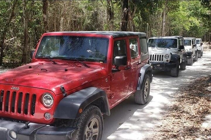 Punta Sur 4x4 Jeep Adventure: Private Punta Sur Eco Park Tour in Cozumel photo 1