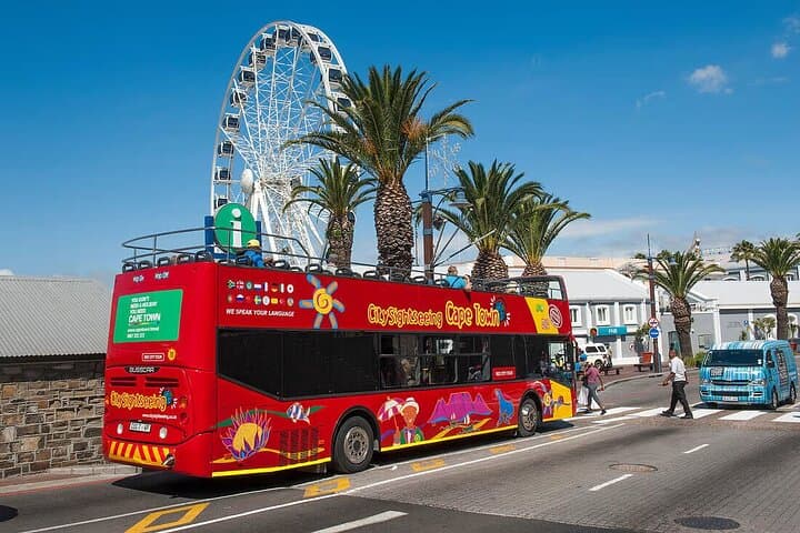 Hop-On Hop-Off Bus and Table Mountain Cableway Tour — Cape Town Sightseeing