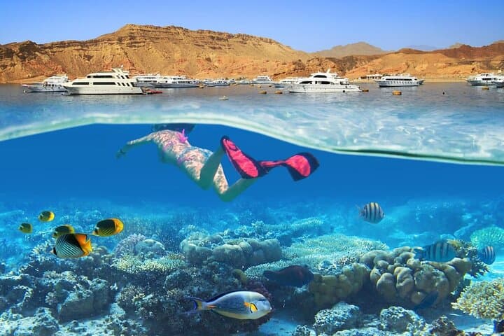 Tiran Island Snorkel & Dive — Red Sea Reefs from Sharm El Sheikh photo 4