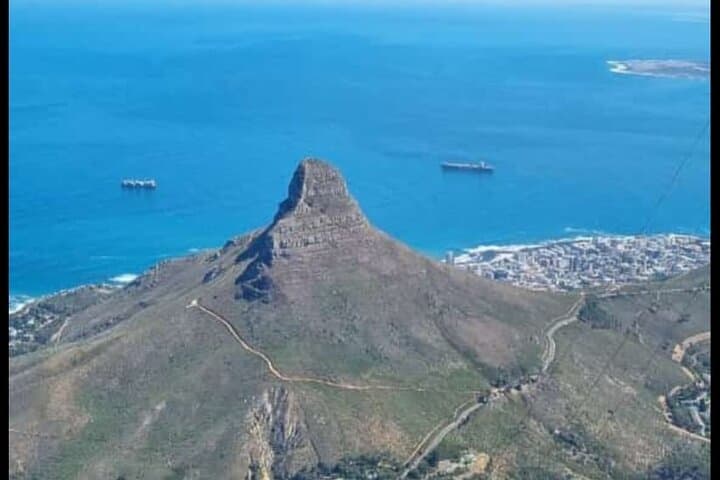 Cape Point and African Penguins: Full-Day Coastal Wildlife Tour from Cape Town photo 2