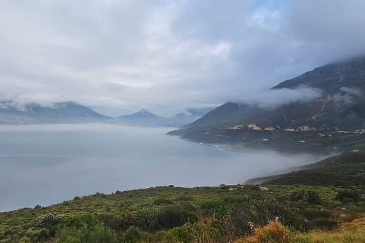 Cape Point and African Penguins: Full-Day Coastal Wildlife Tour from Cape Town photo 6