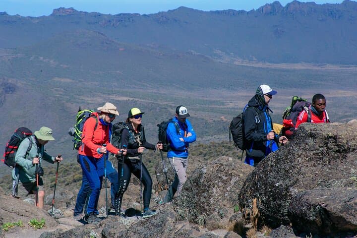 8-Day Lemosho Route Kilimanjaro Climb — Group Joining Summit Trek