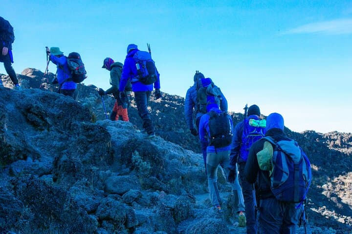 8-Day Lemosho Route Kilimanjaro Climb — Group Joining Summit Trek photo 5