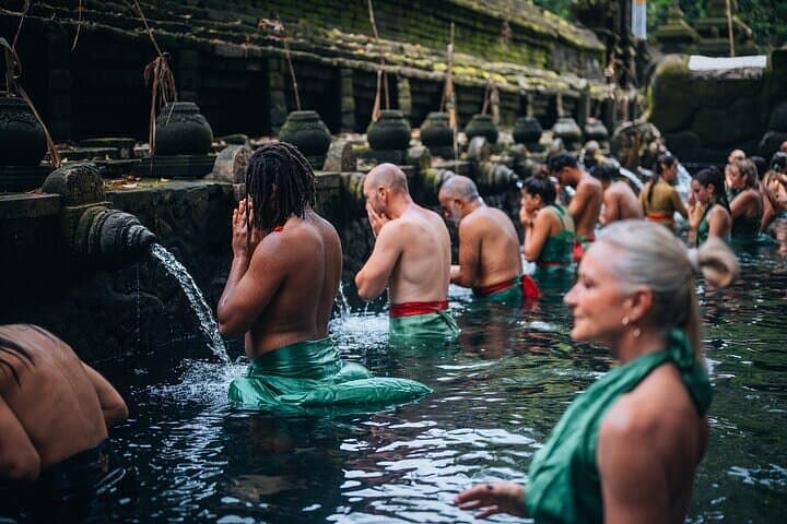 Ubud Full-Day Private Tour: Monkey Forest, Tegalalang & Tirta Empul
