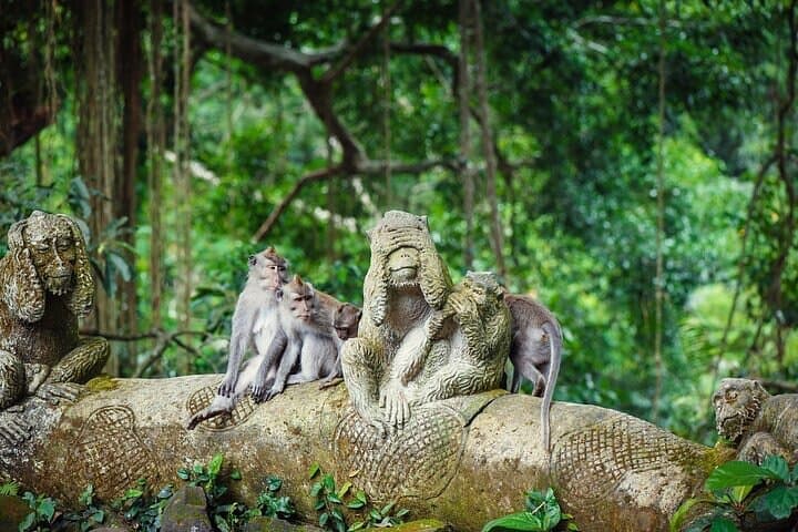 Ubud Full-Day Private Tour: Monkey Forest, Tegalalang & Tirta Empul photo 5