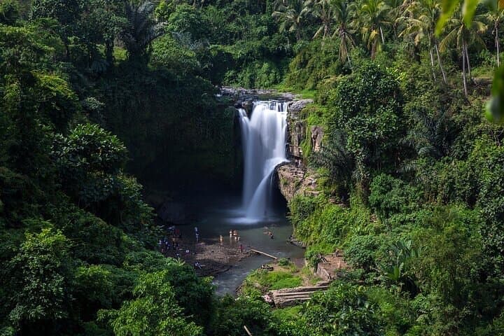 Ubud Full-Day Private Tour: Monkey Forest, Tegalalang & Tirta Empul photo 6